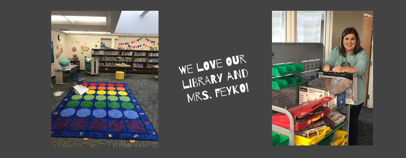 Picture of elementary library and librarian 