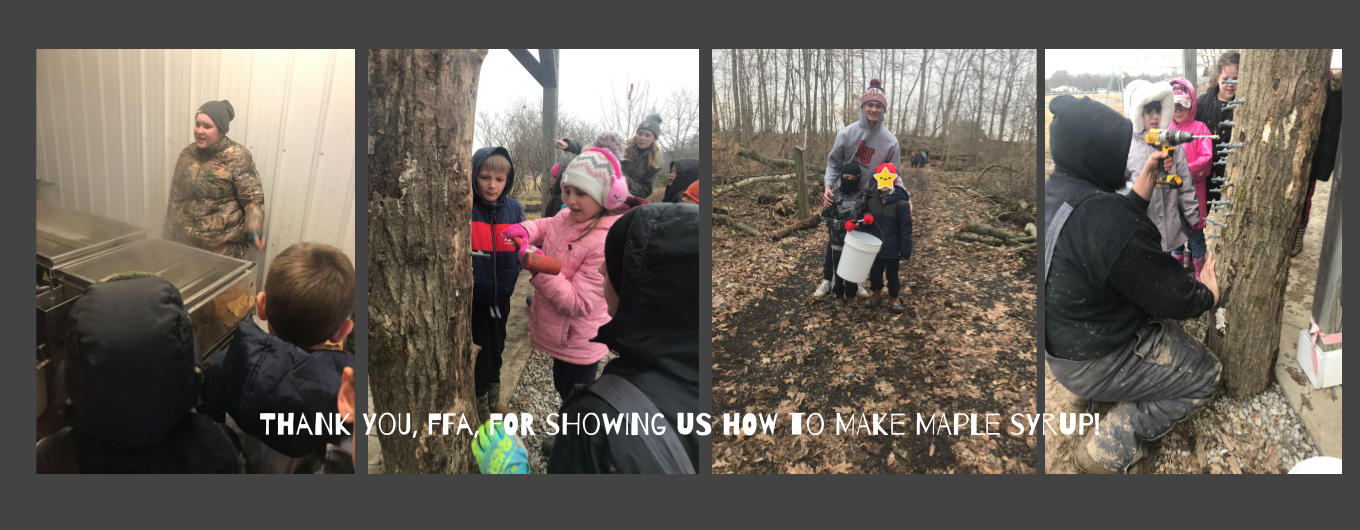 FFA showing elementary students how to make maple syrup